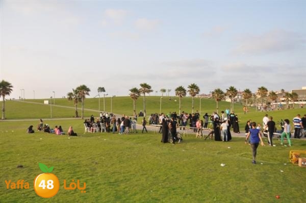 mster shef 0523 (62).JPG